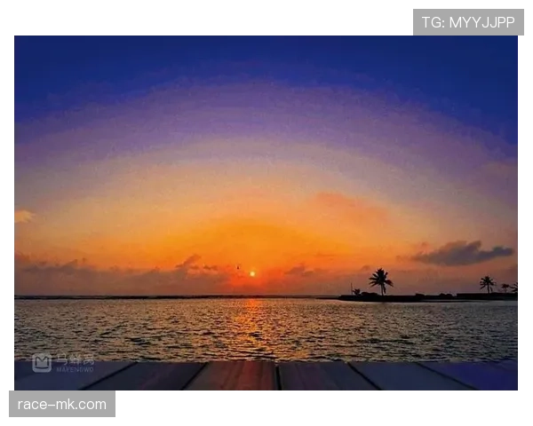 大阪刚在马尔代夫买岛，训练计划是每天醒来看海发呆？